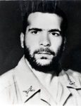 داود فیروزآبادی