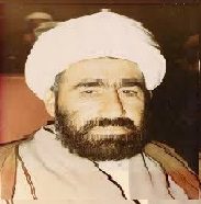 محمدحسن طیبی