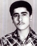 محمداسمعیل کیائی اصل