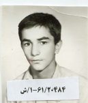 حسن عرب حلوایی