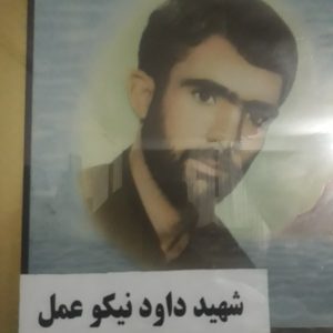 داود نیکوعمل