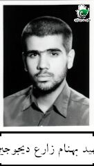 بهنام زارع دیجوجین