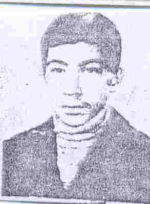 فریبرز رادافزون
