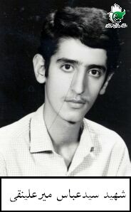 سیدعباس میرعلینقی