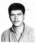 مجتبی شرفی