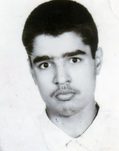 حسن قلعه نوئی
