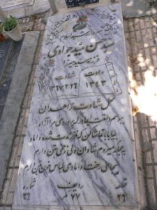 سید حسن سید جوادی