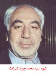 سیدمحمدجواد شرافت