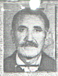 حمزه علی بیداد