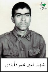 امیر محمودآبادی