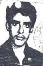میکائیل ارزان