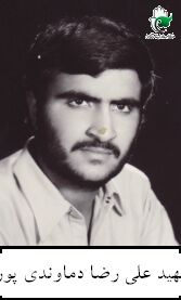 علی رضا دماوندی پور