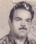سیدعلی اکبر شیرازیها