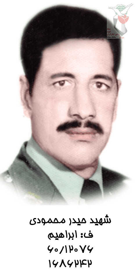 حیدر محمودی