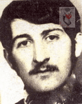 محمدرضا سلیمی لیسار
