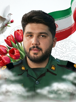 امیرحسین دلشاد
