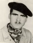علی دولت یاری