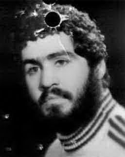 ابوالفضل چمنی راد