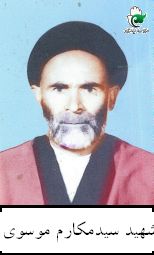 سیدمکارم موسوی
