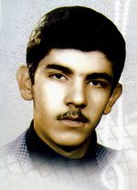 سیدمحمدحمید صفویان