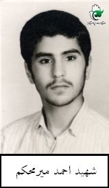 احمد میرمحکم