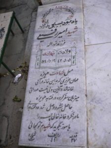 امیر رفیعی