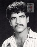 محمدرضا محمدی