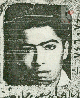 محمدرضا محمودی مهریزی