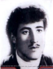 داود شاه خواه