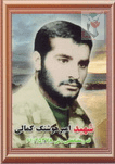 امیرهوشنگ کمالی بالاجاده