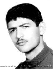 نوید سلیمی
