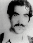 بیژن بردباری