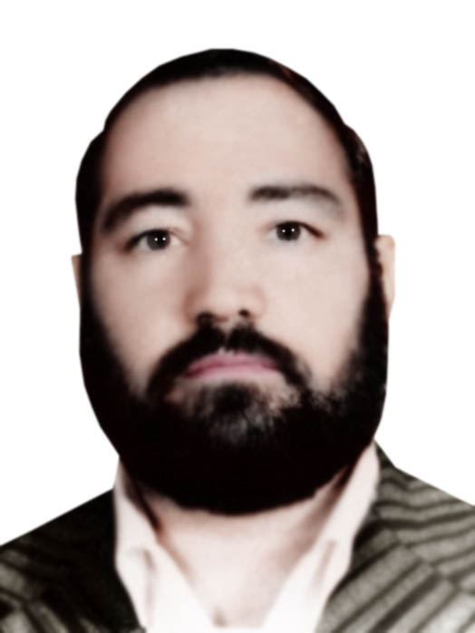 علی محمدی نصرآبادی