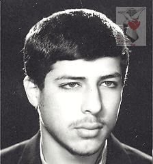 محسن کرد