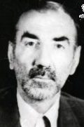 جواد عباسی طهرانی