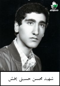 محسن حسینی بخشی