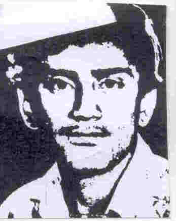 امیر استیری